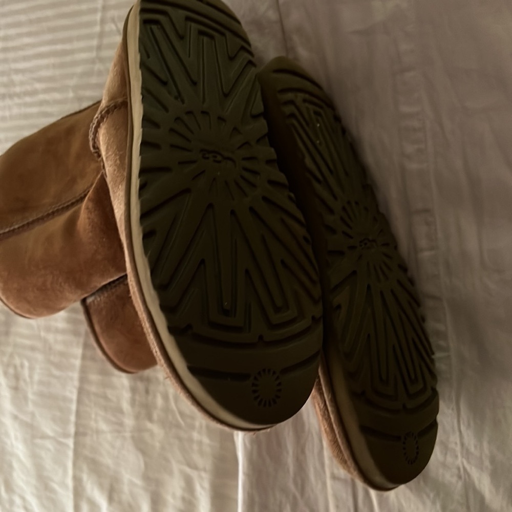Classic Chestnut Uggs - image 3